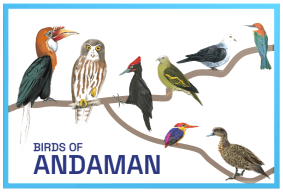 Andaman | Avian Beauties | A5 Frame - Wall Decor - Indic Inspirations