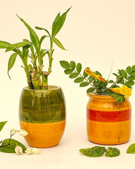 Assorted Colours - Hydroponics Set - 2 vases - vases - indic inspirations