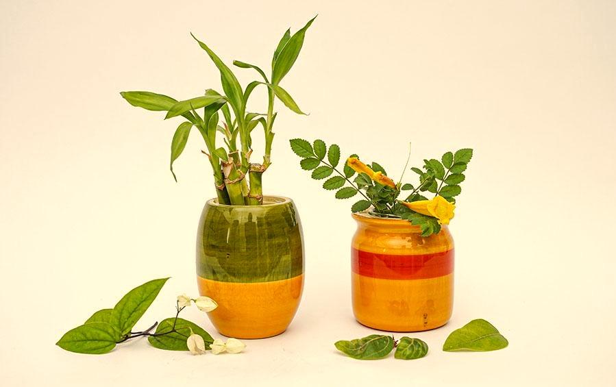 Assorted Colours - Hydroponics Set - 2 vases - vases - indic inspirations