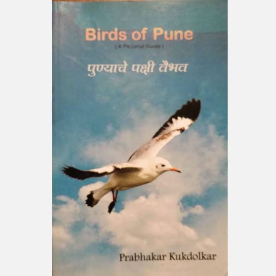 Birds of Pune - Books - indic inspirations