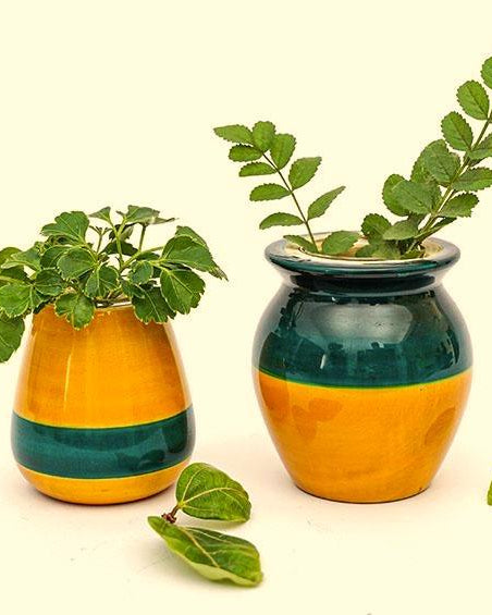Blue & Yellow - Hydroponics Set - 2 vases - vases - indic inspirations