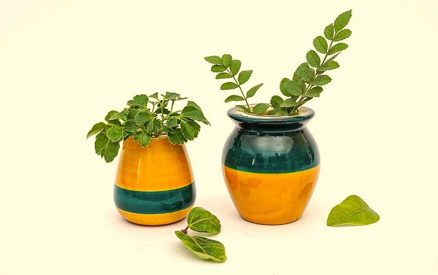 Blue & Yellow - Hydroponics Set - 2 vases - vases - indic inspirations