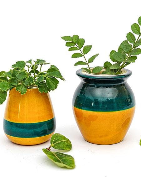 Blue & Yellow - Hydroponics Set - 2 vases - vases - indic inspirations