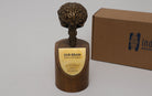 Brain Model In Bronze Antique Finish - Human body anatomy models - indic inspirations