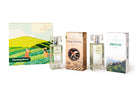 Morning Brew Gift Set (Set of 2 Perfumes) - Fragrances - indic inspirations