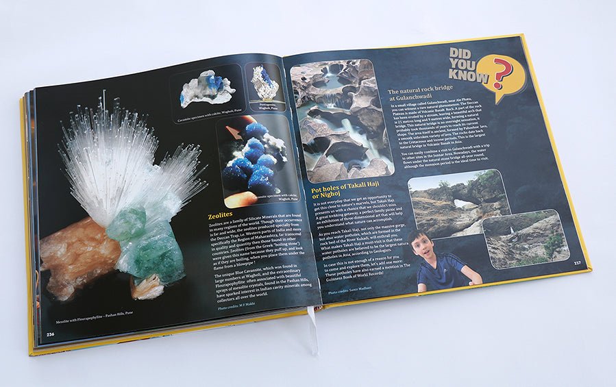 Punyakatha – Pune's Story Of A Million Years - Books - indic inspirations