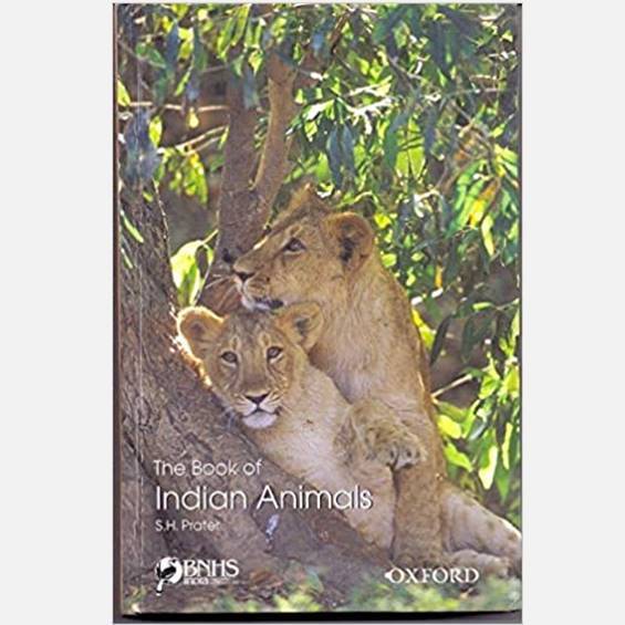 The Book of Indian Animals - Books - indic inspirations