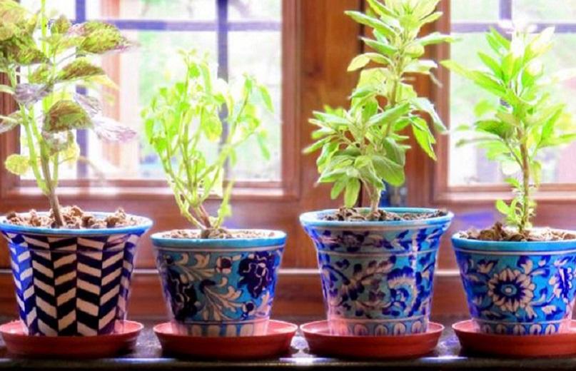 Gardening | indic inspirations