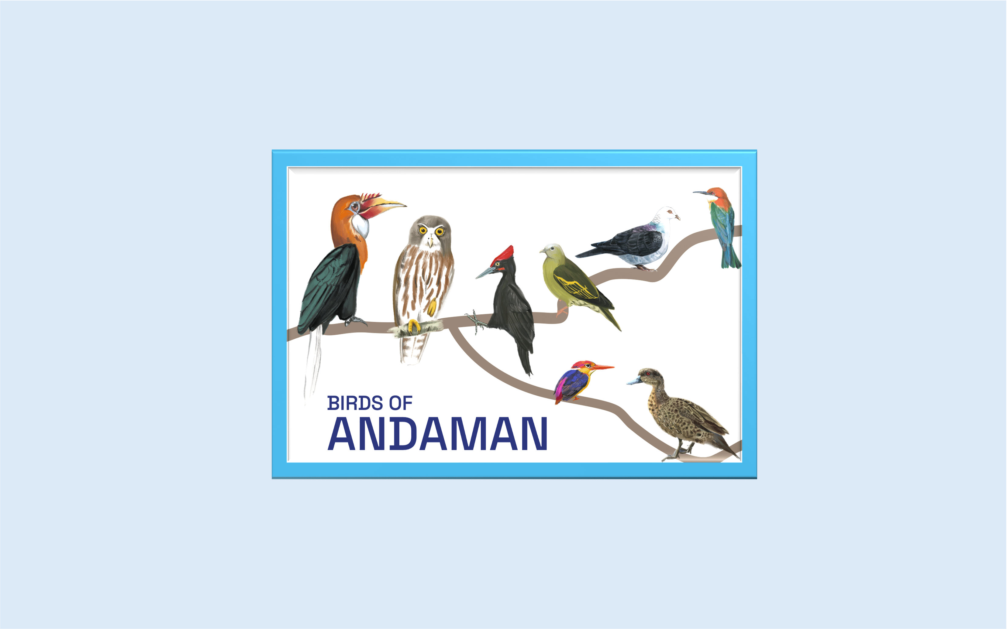 Andaman | Avian Beauties | A5 Frame - Wall Decor - Indic Inspirations