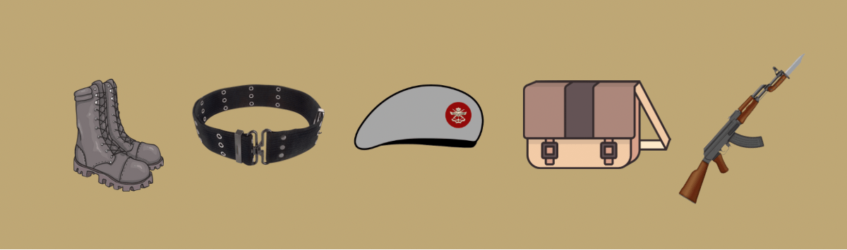 NDA Life | Patti Parade | Fun Card Game - Fact cards - Indic Inspirations