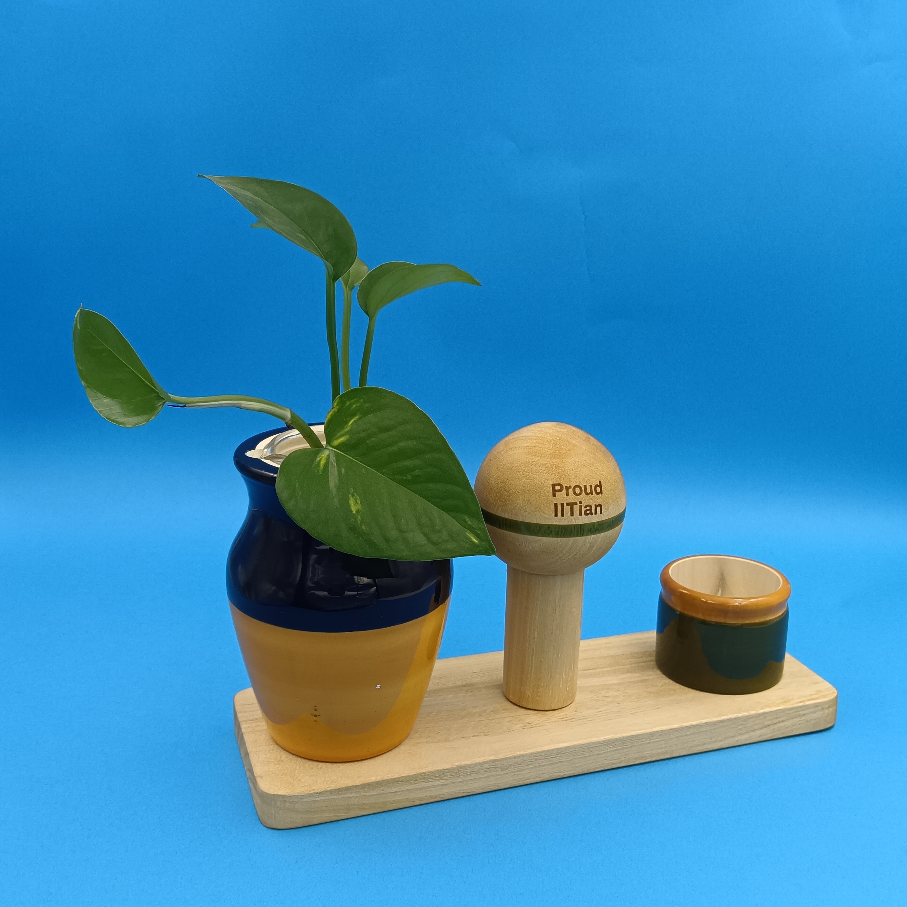 Proud IITian | Lota & Katori | Desktop Planter - lota katori - Indic Inspirations
