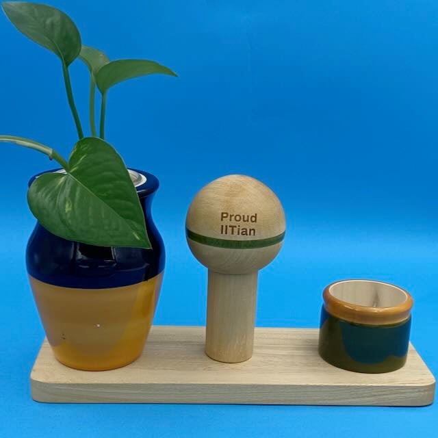 Proud IITian | Lota & Katori | Desktop Planter - lota katori - Indic Inspirations