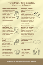 ZINGIBER OIL For Re-Energizing, Pain & Stiffness Relief, Sleep Support - Indic Inspirations