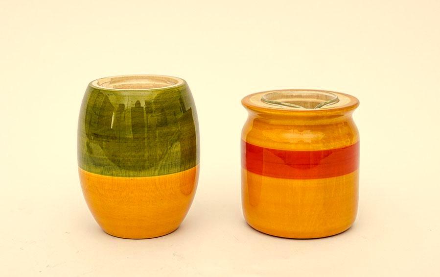 Assorted Colours - Hydroponics Set - 2 vases - vases - indic inspirations