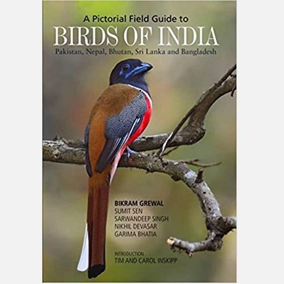 Birds of India - Books - indic inspirations