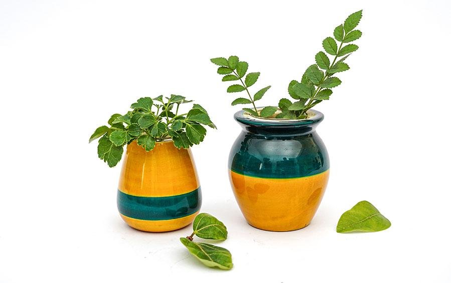 Blue & Yellow - Hydroponics Set - 2 vases - vases - indic inspirations
