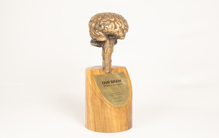 Brain Model In Bronze Antique Finish - Human body anatomy models - indic inspirations