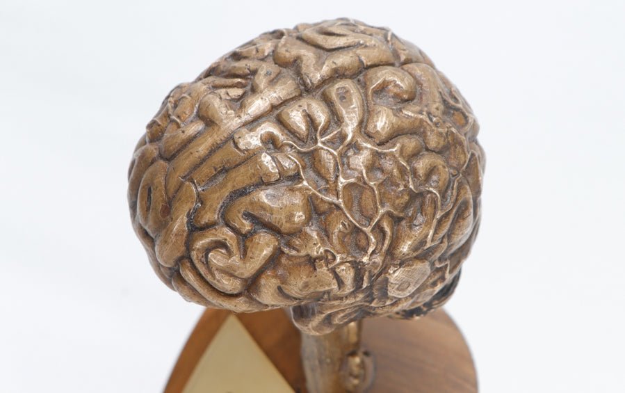 Brain Sculpture in Bronze - Human body anatomy models - indic inspirations