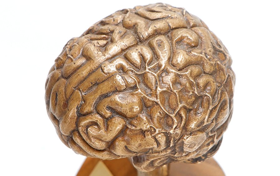 Brain Sculpture in Bronze - Human body anatomy models - indic inspirations