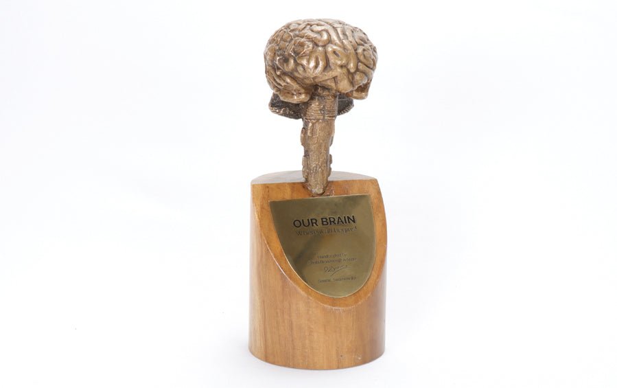 Brain Sculpture in Bronze - Human body anatomy models - indic inspirations