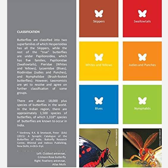 Butterflies of India - Books - indic inspirations
