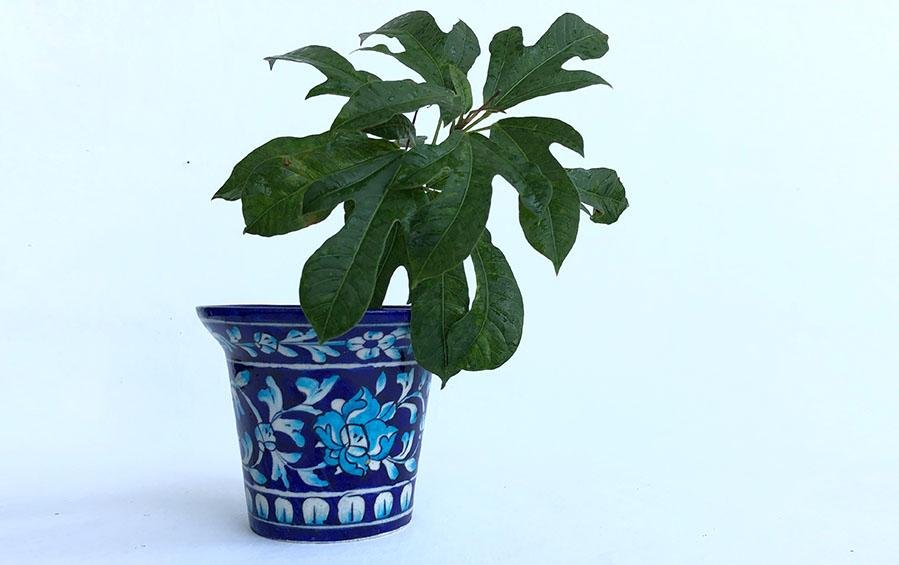Dark Blue Planter- Medium - Planters - indic inspirations