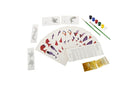 DIY Colouring Kit - Gond Painting of Madhya Pradesh - Craft Kit - indic inspirations
