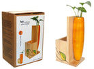 IVY - Multiuse Plant Holder - Desk Organizers - indic inspirations